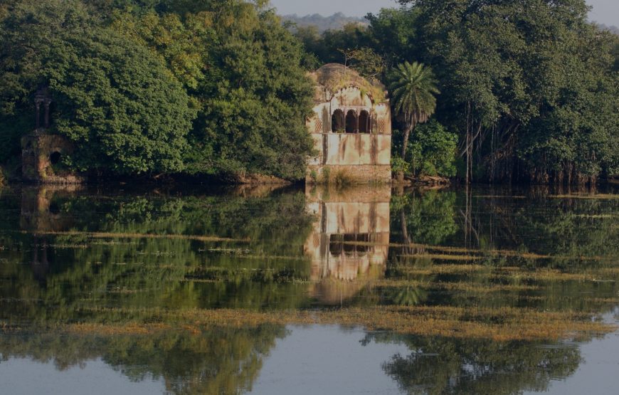 Ranthambore Fort Tour by Taxi