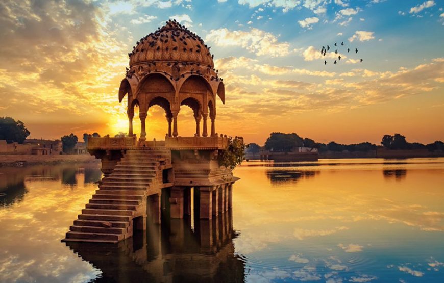 Private Full Day Trip to Ranthambore National Park