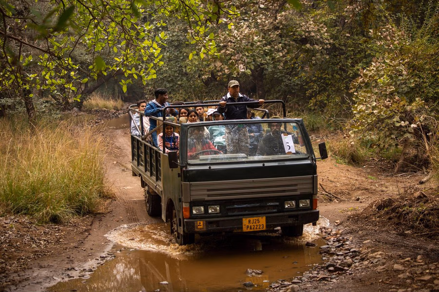 Tour Programme – Ranthambore Canter Safari