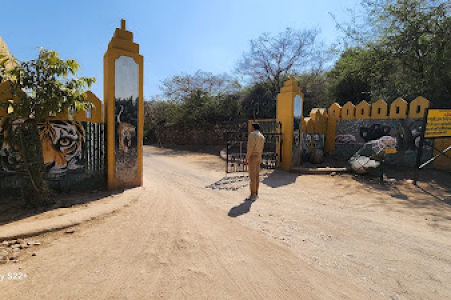 Sawai Madhopur Village Tour
