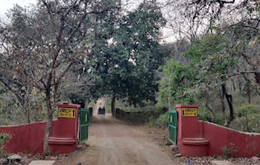 Ranthambore Fort Tour by Taxi