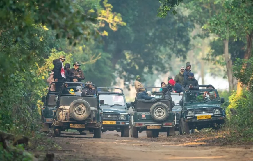 Jawai Leopard Safari