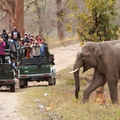 Rajaji National Park